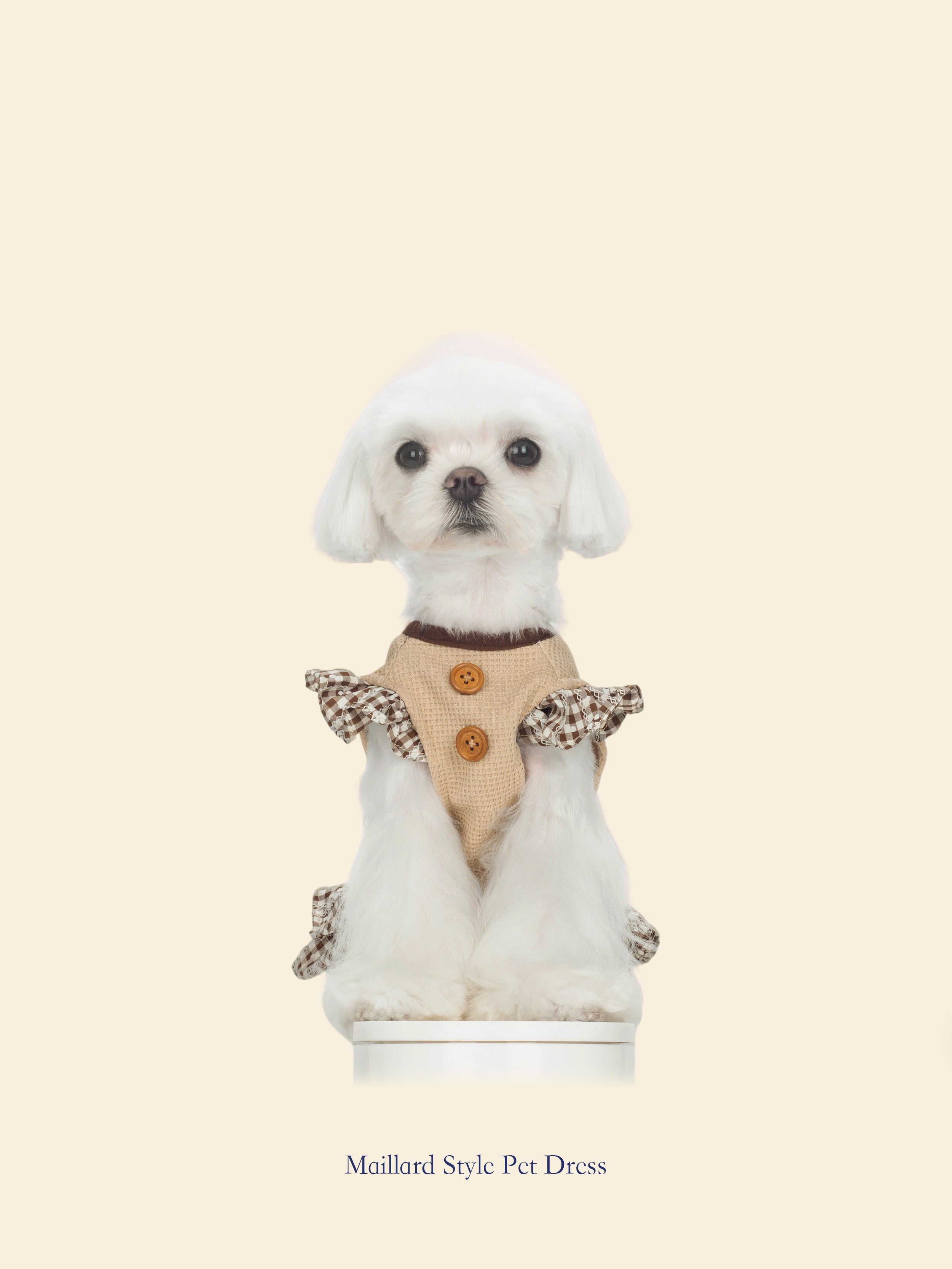 Malt-Tone Maillard-Style Pet Dress