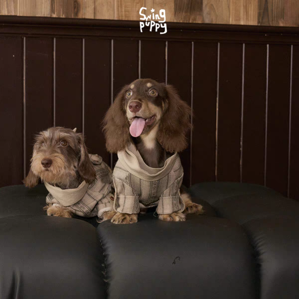 Swingpuppy® 25 Autumn/Winter Pet Beaded Nomad Shirt