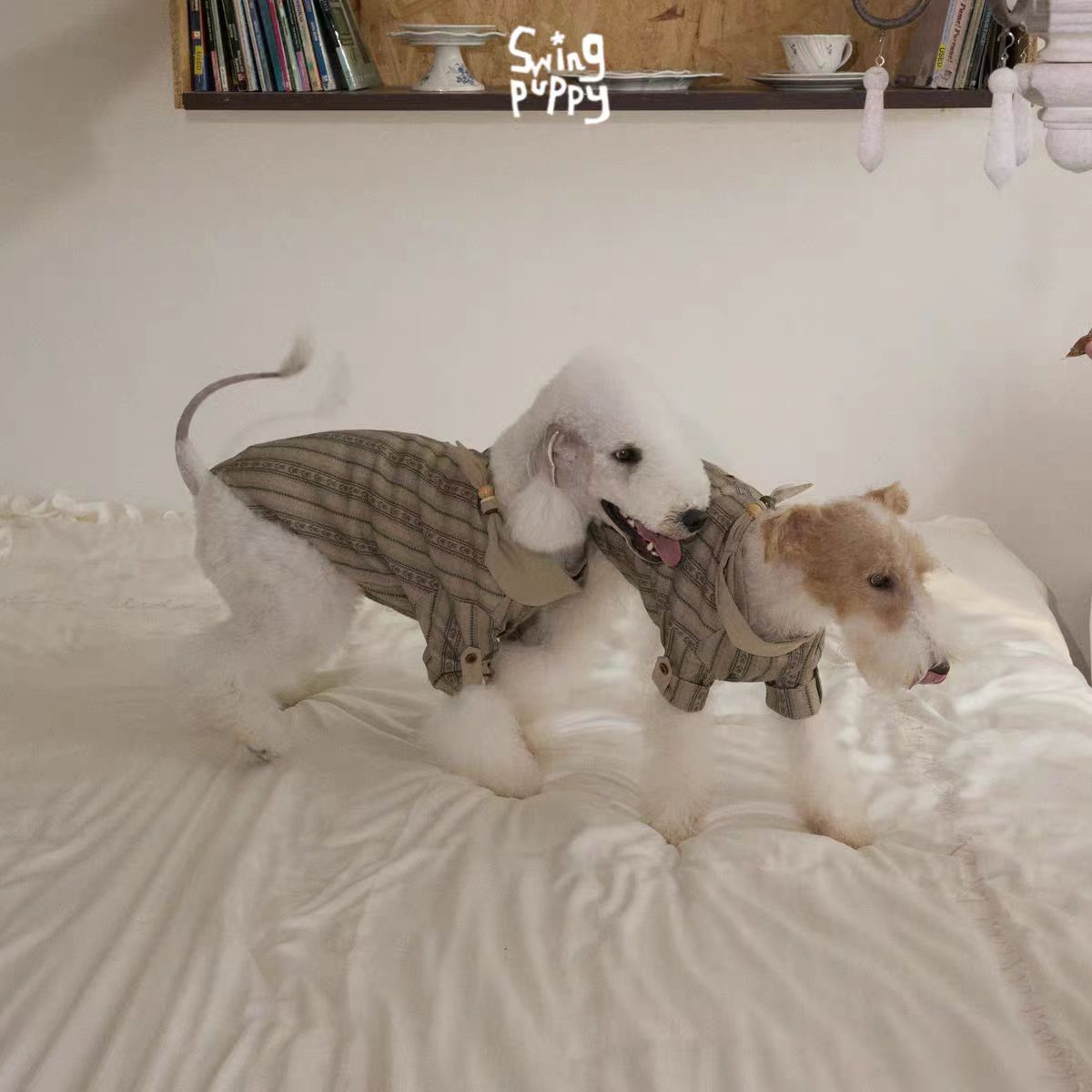 Swingpuppy® 25 Autumn/Winter Pet Beaded Nomad Shirt