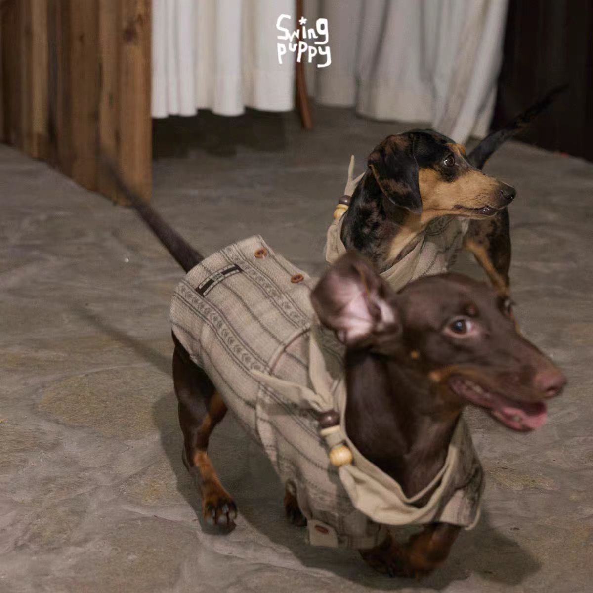 Swingpuppy® 25 Autumn/Winter Pet Beaded Nomad Shirt