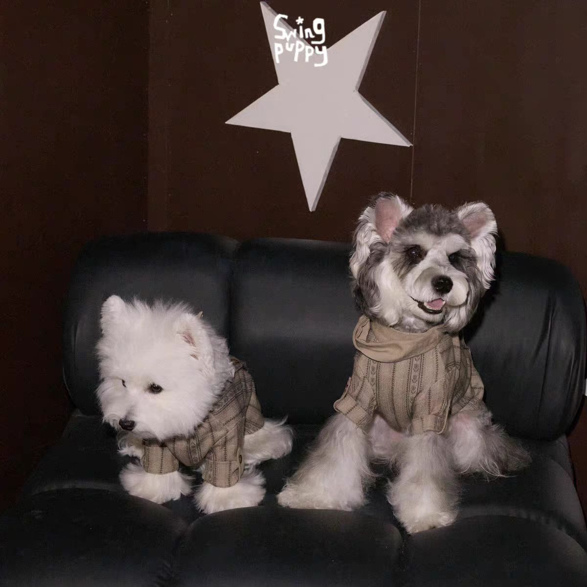 Swingpuppy® 25 Autumn/Winter Pet Beaded Nomad Shirt