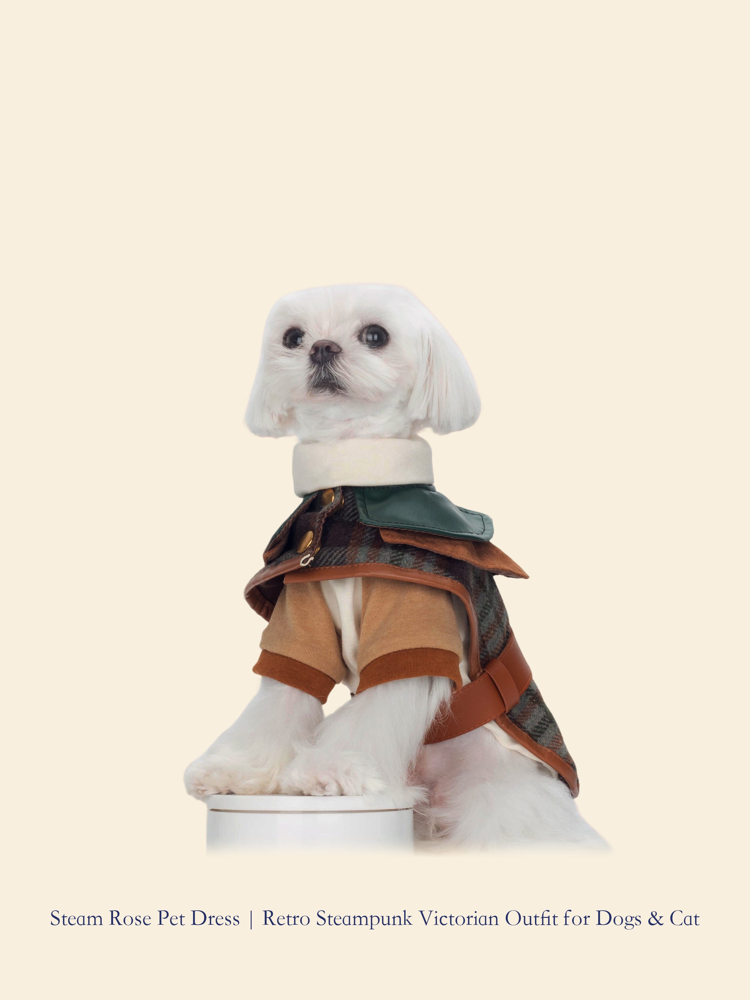 Williams Coat Gift Set for Pets