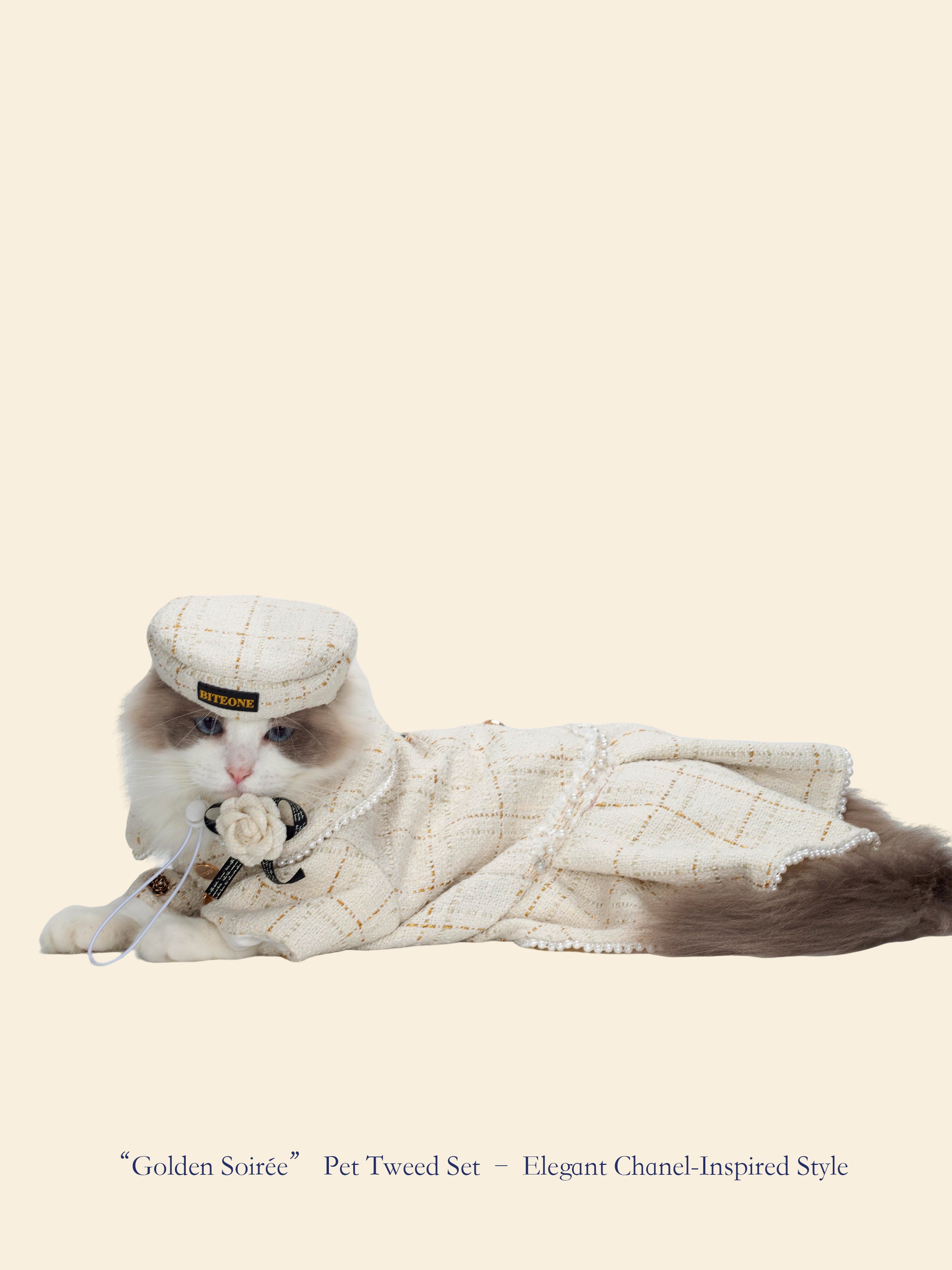 Gilded Evening Chanel-Inspired Pet Outfit