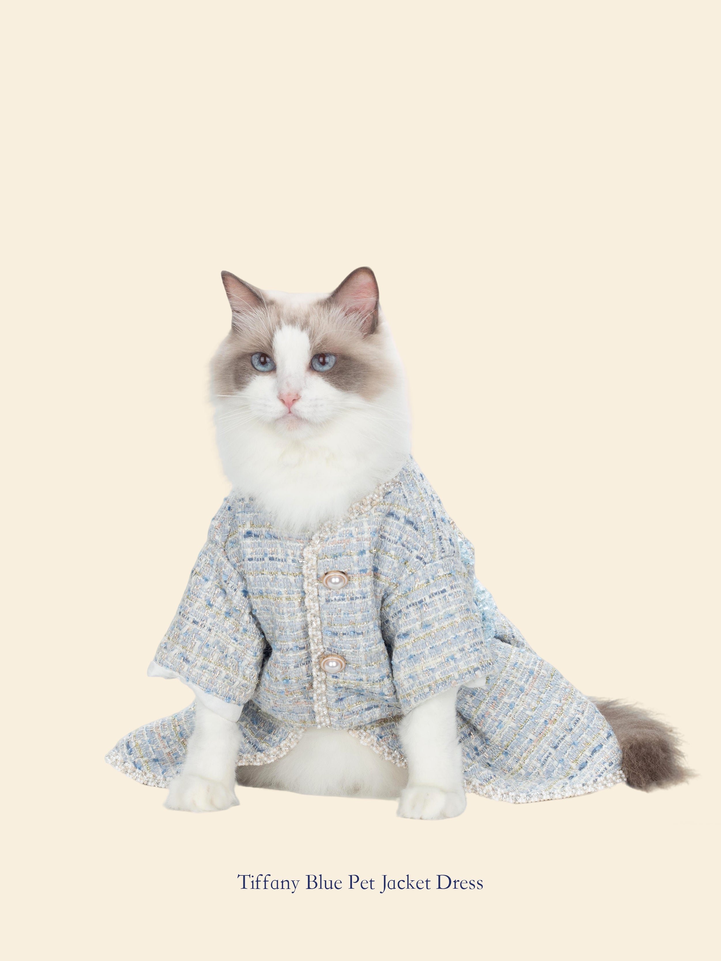 Tiffany Blue Chanel-Inspired Pet Outfit