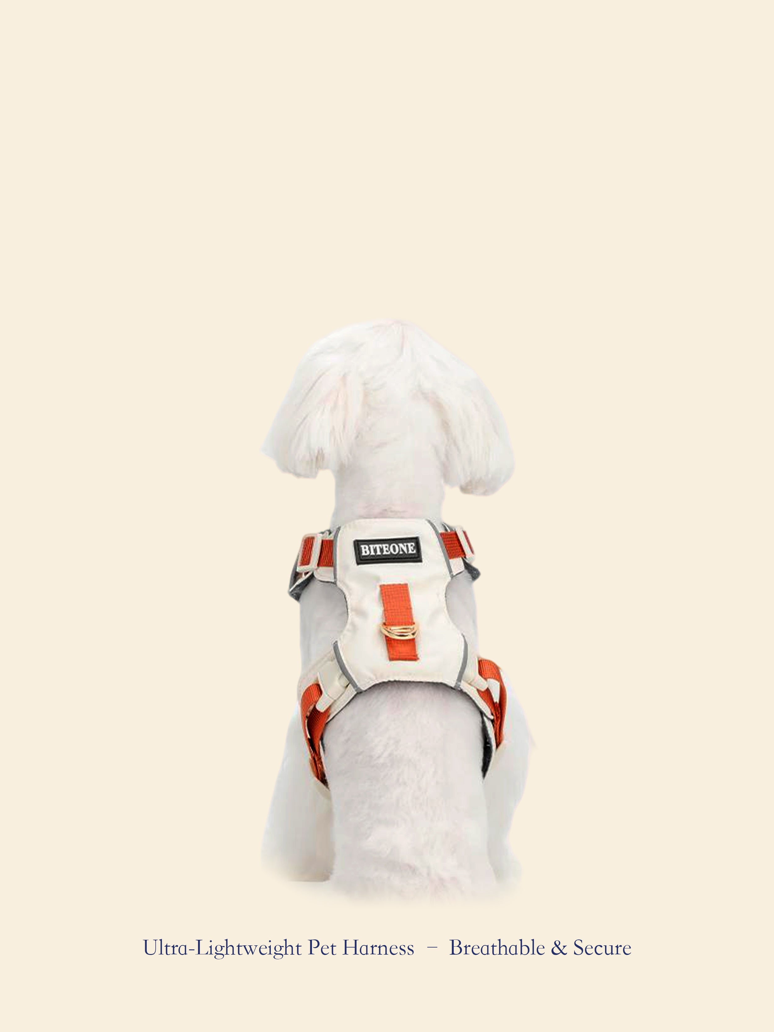 Ultra-Lightweight Outdoor Dog Harness