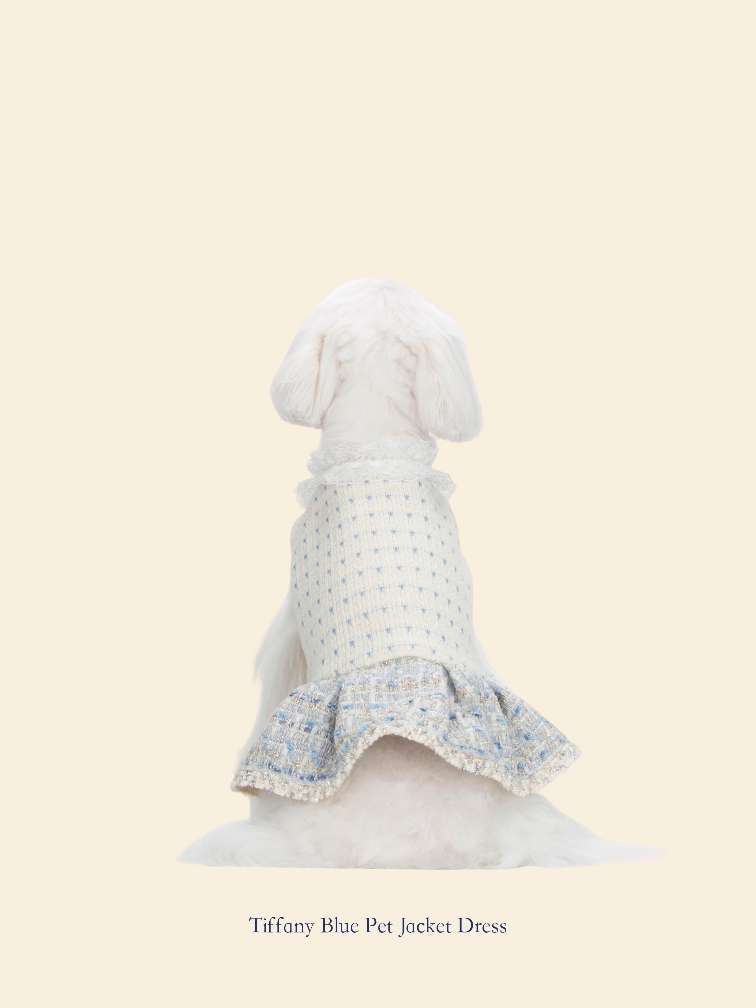 Tiffany Blue Chanel-Inspired Pet Outfit