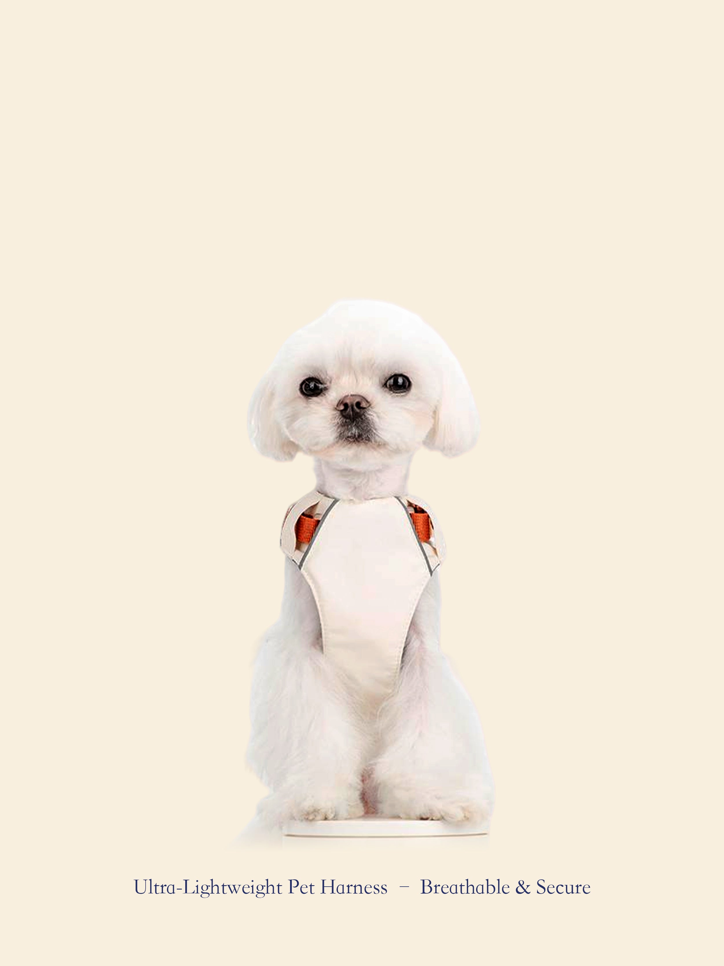 Ultra-Lightweight Outdoor Dog Harness