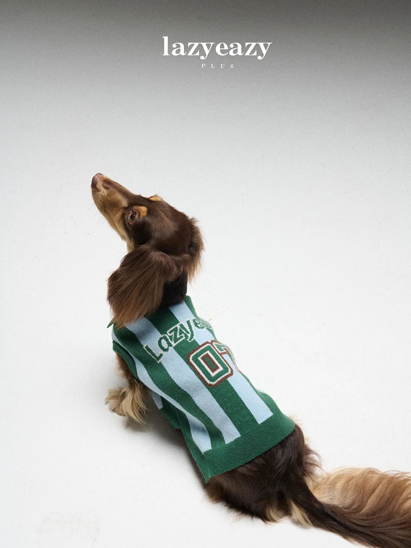 Striped Sports Knit Pet Sweater