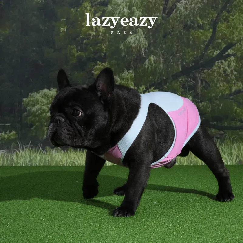 Cooling Color-Block Racerback Pet Vest