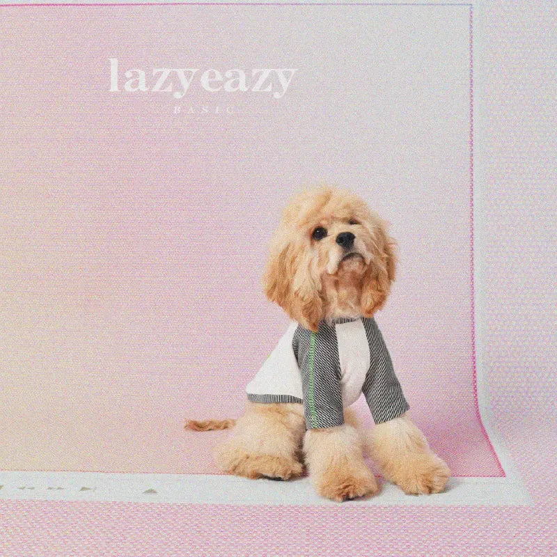 Striped Patchwork Pet Base Layer