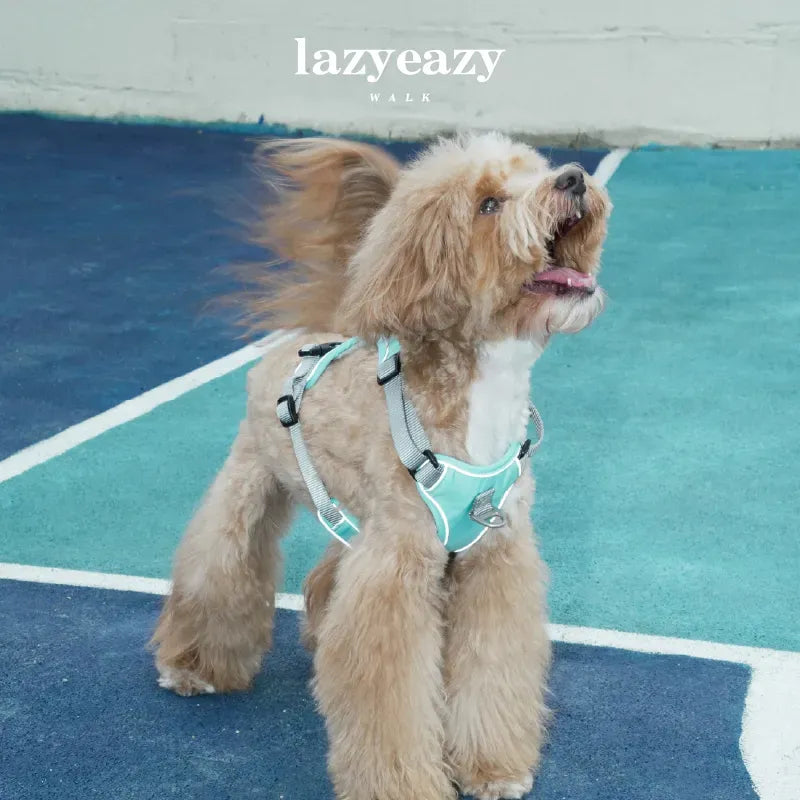 Adjustable Nylon Pet Harness