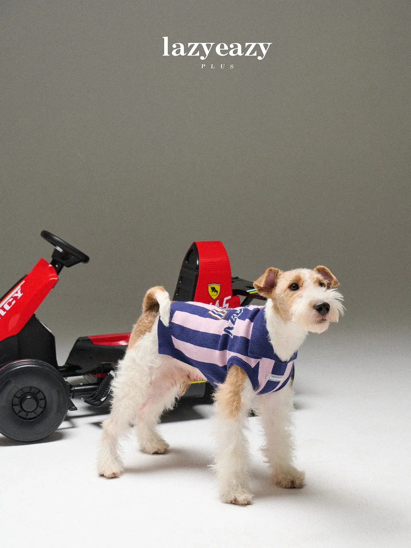 Striped Sports Knit Pet Sweater