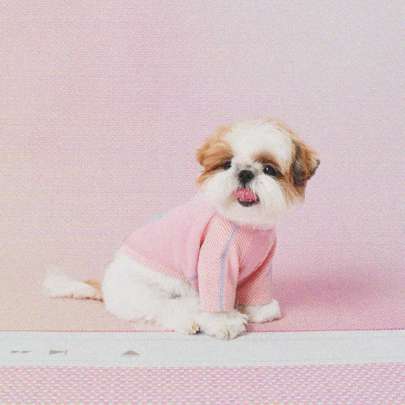 Striped Patchwork Pet Base Layer