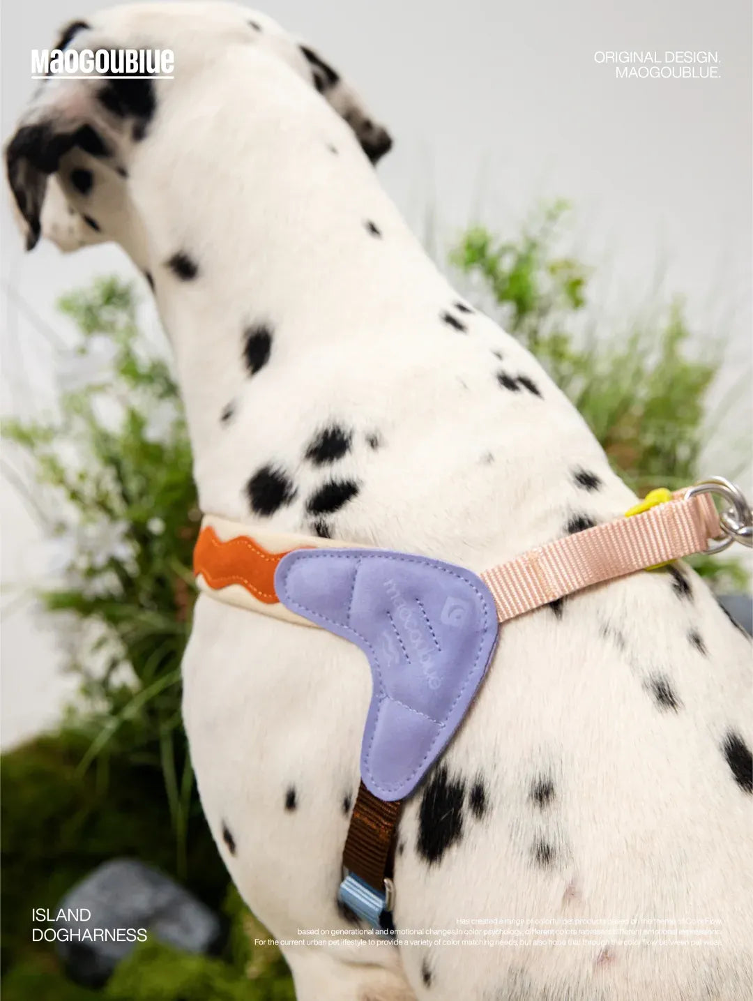 Adjustable No-Pull Escape-Proof Harness for Small & Medium Dogs