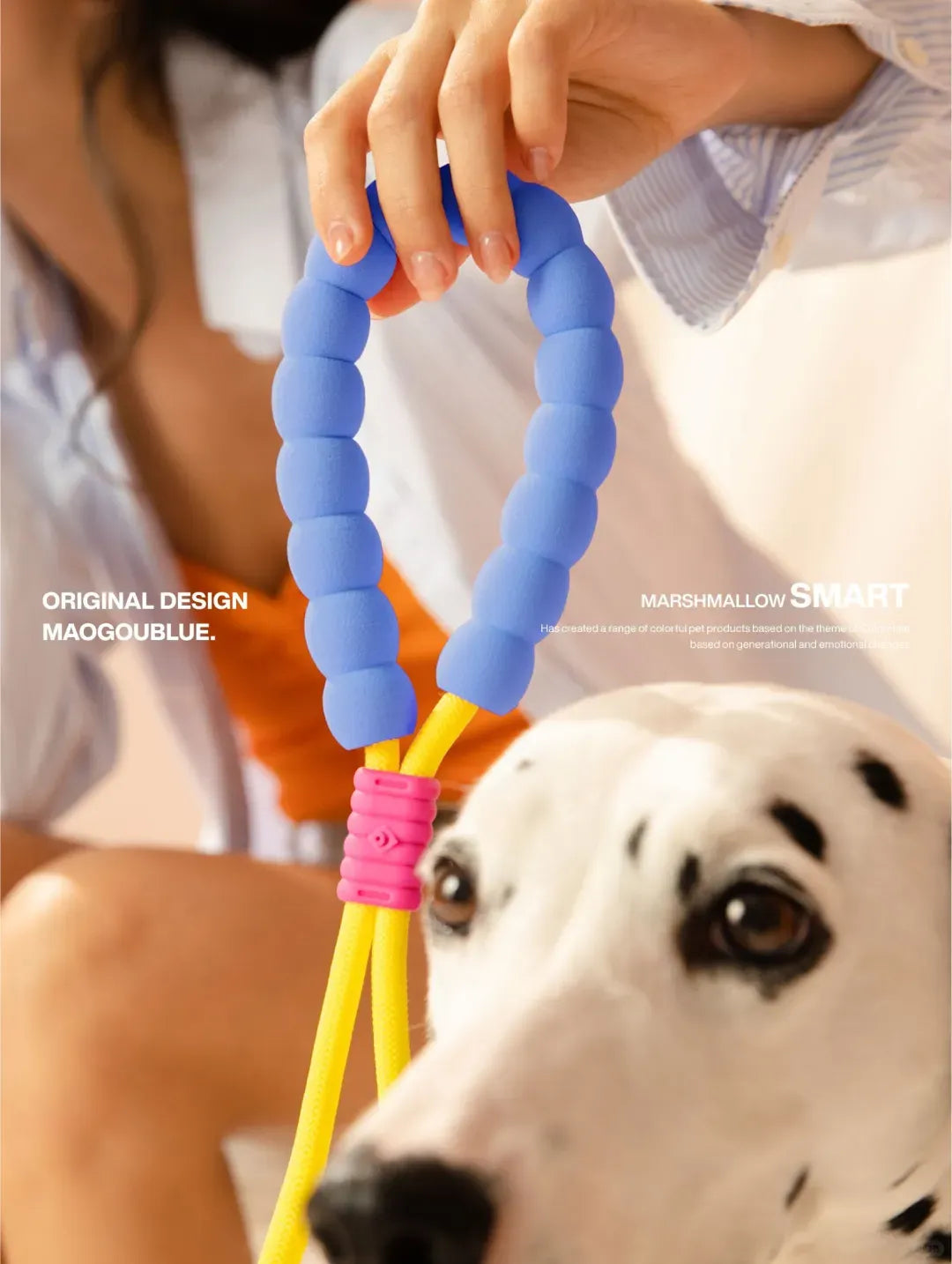No-Pull Shock-Absorbing Dog Leash