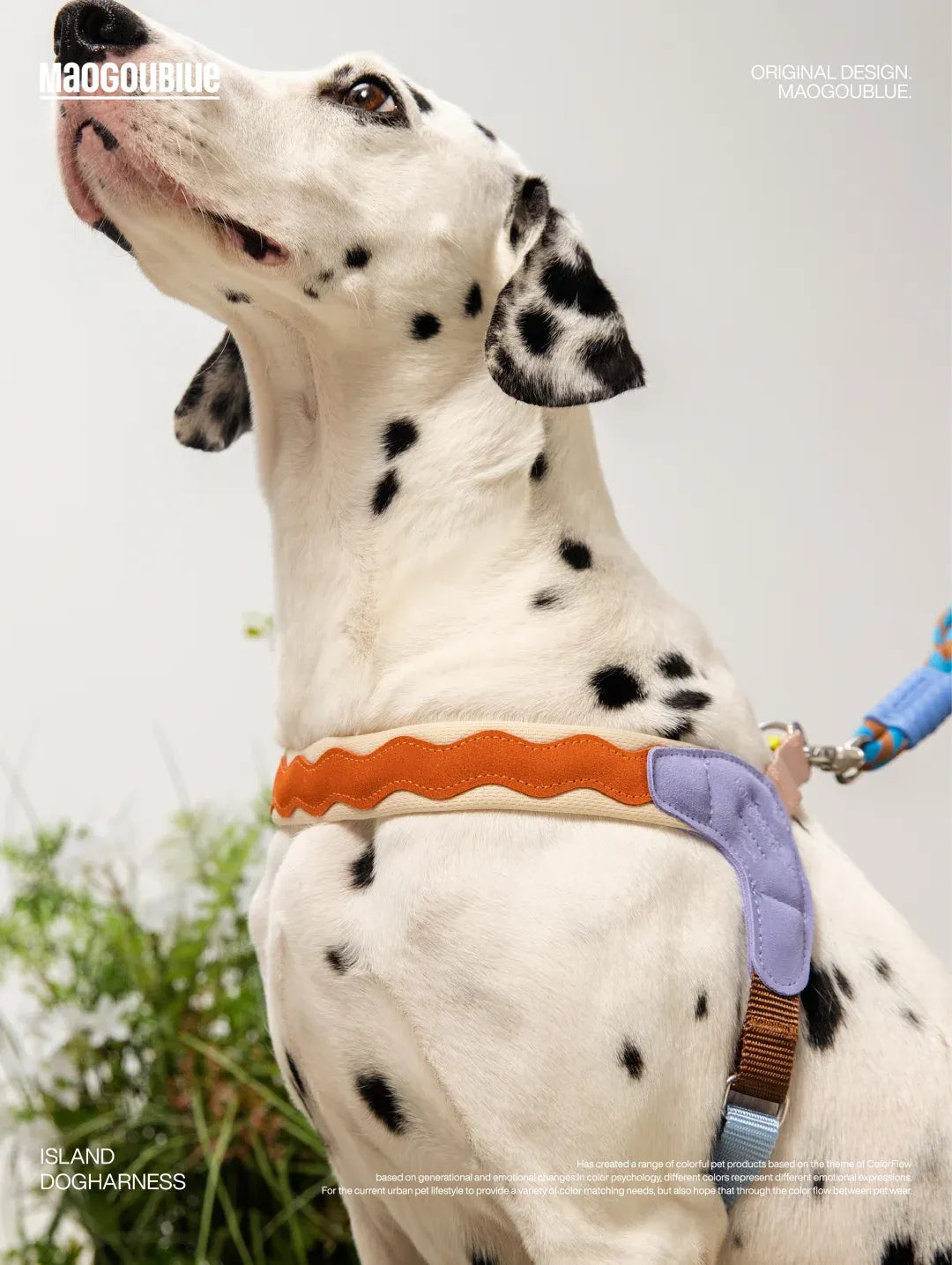 Adjustable No-Pull Escape-Proof Harness for Small & Medium Dogs