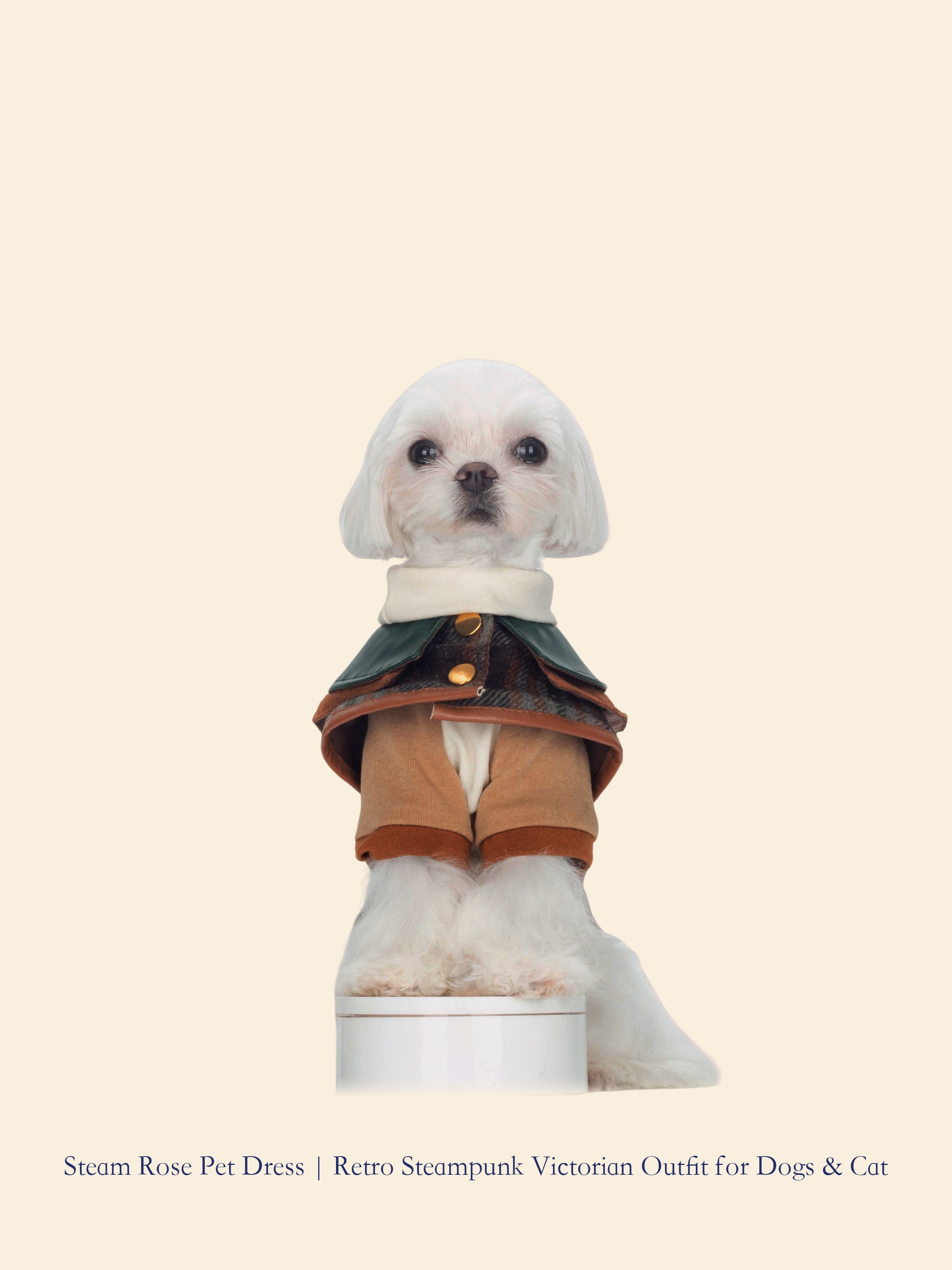 Williams Coat Gift Set for Pets