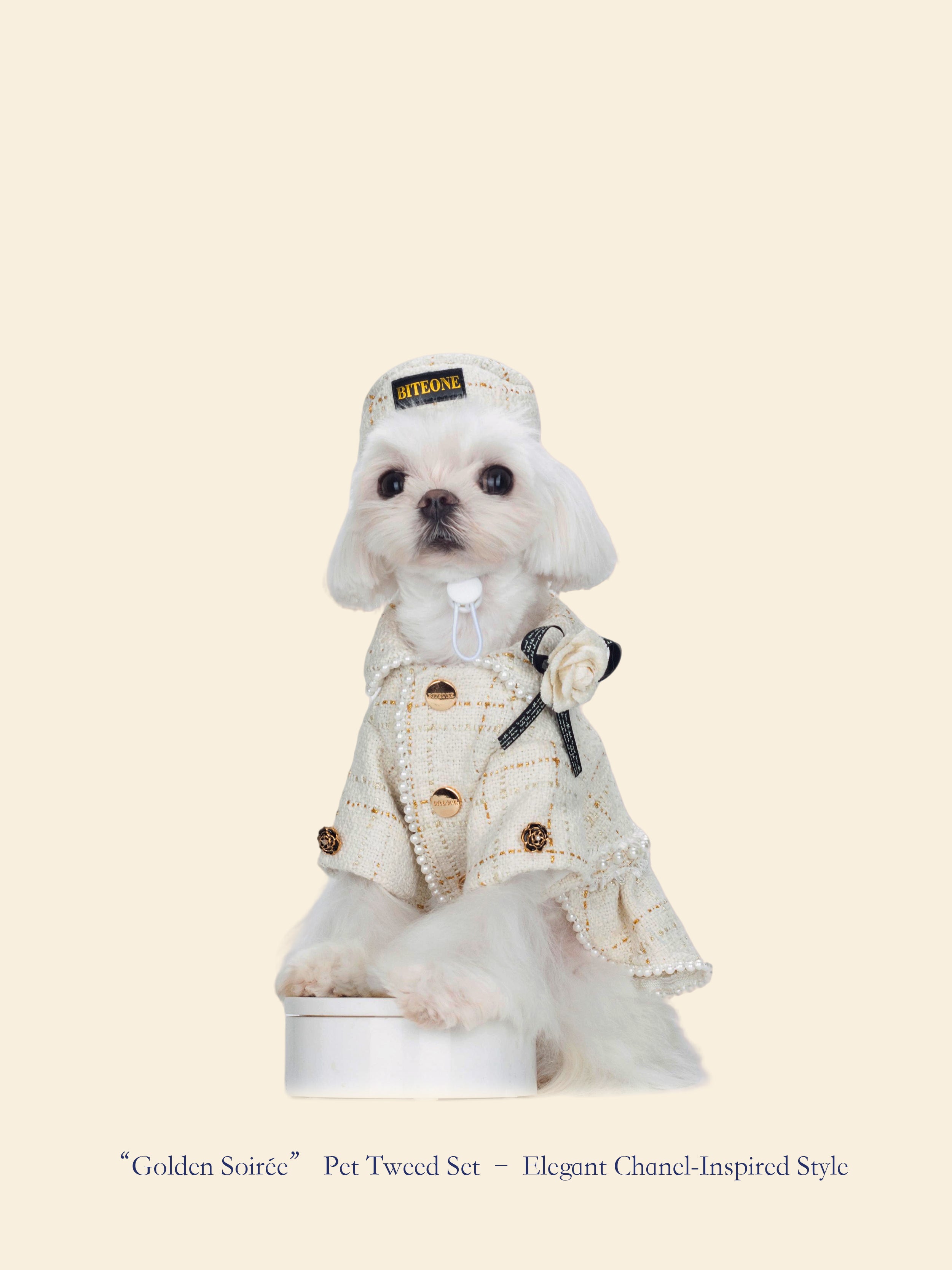 Gilded Evening Chanel-Inspired Pet Outfit