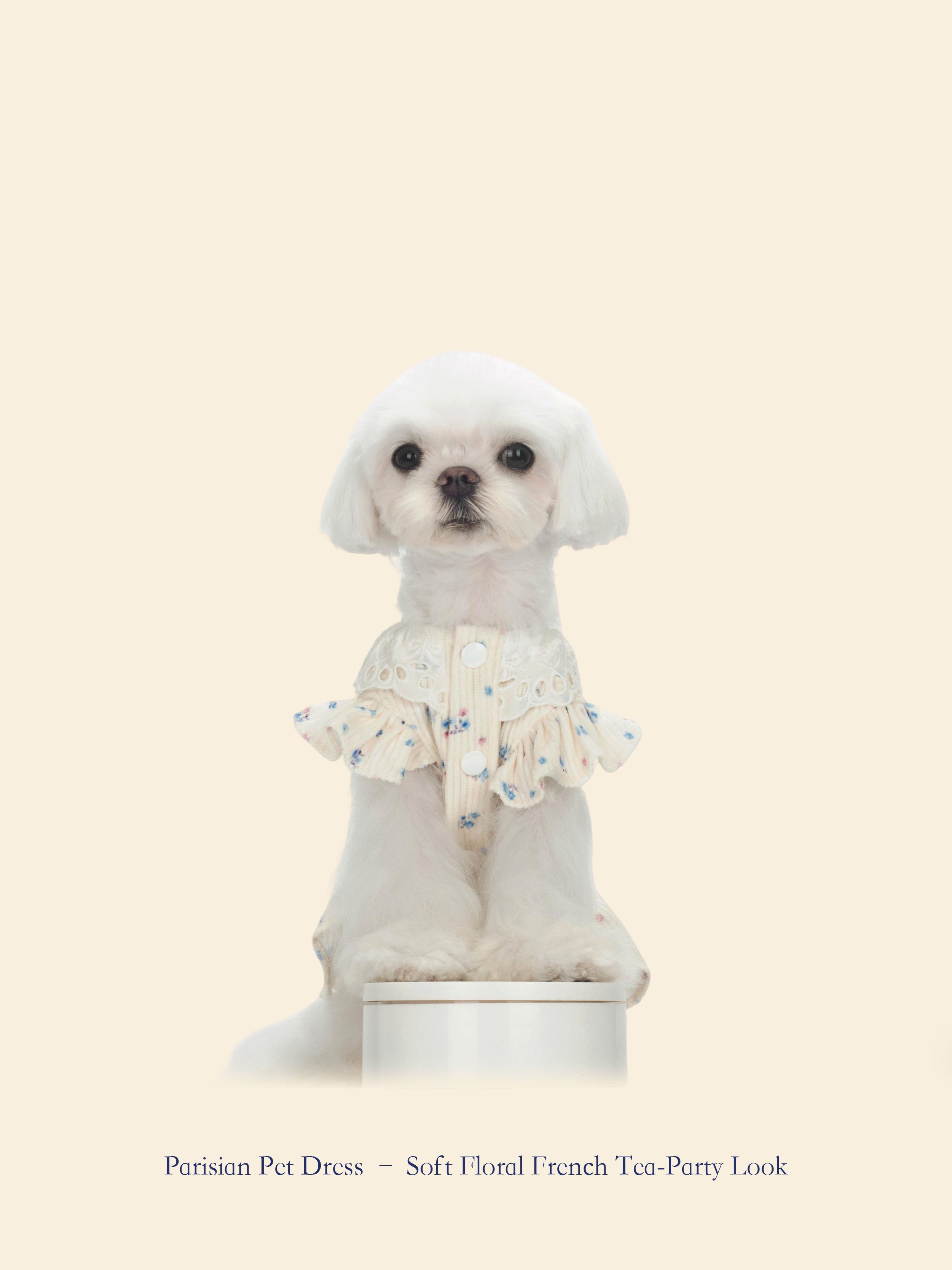 French-Style Romantic Pet Tea Dress