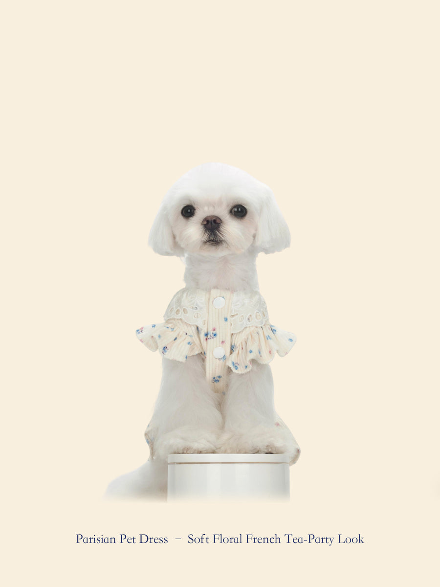 French-Style Romantic Pet Tea Dress