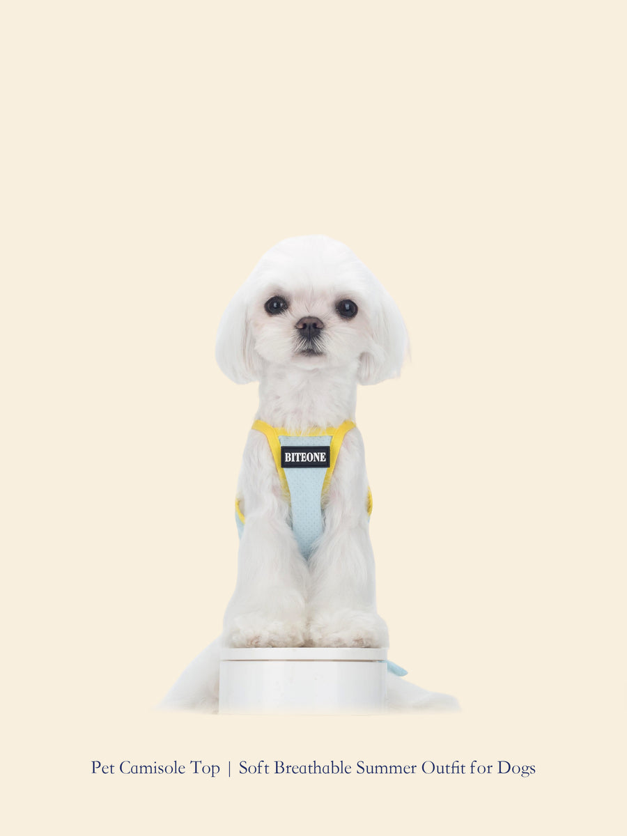 Summer Cooling Pet Camisole