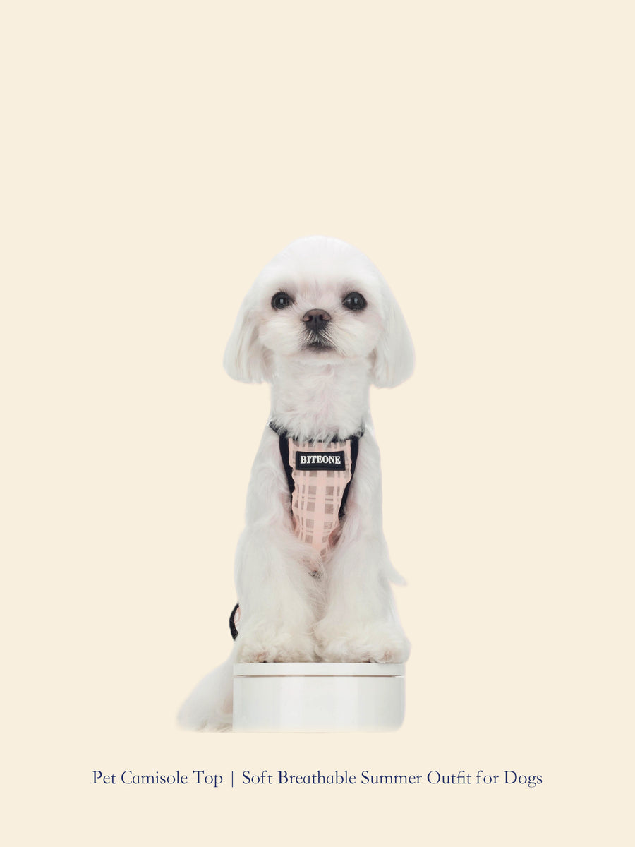 Summer Cooling Pet Camisole