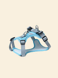 Adjustable Nylon Pet Harness