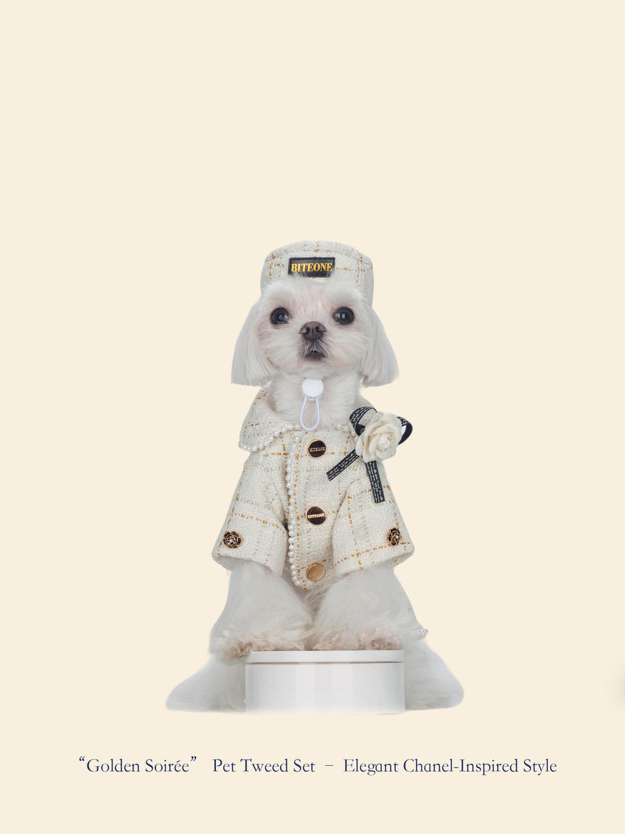 Gilded Evening Chanel-Inspired Pet Outfit