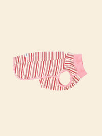 Color-Block Striped Pet Vest