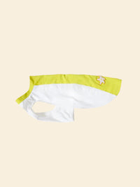 Cooling Color-Block Pet Vest