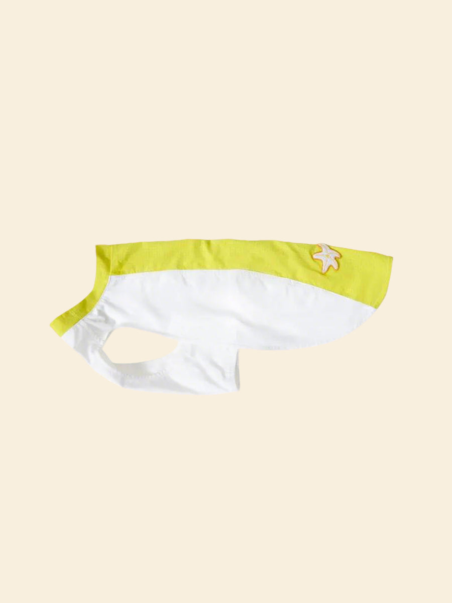 Cooling Color-Block Pet Vest