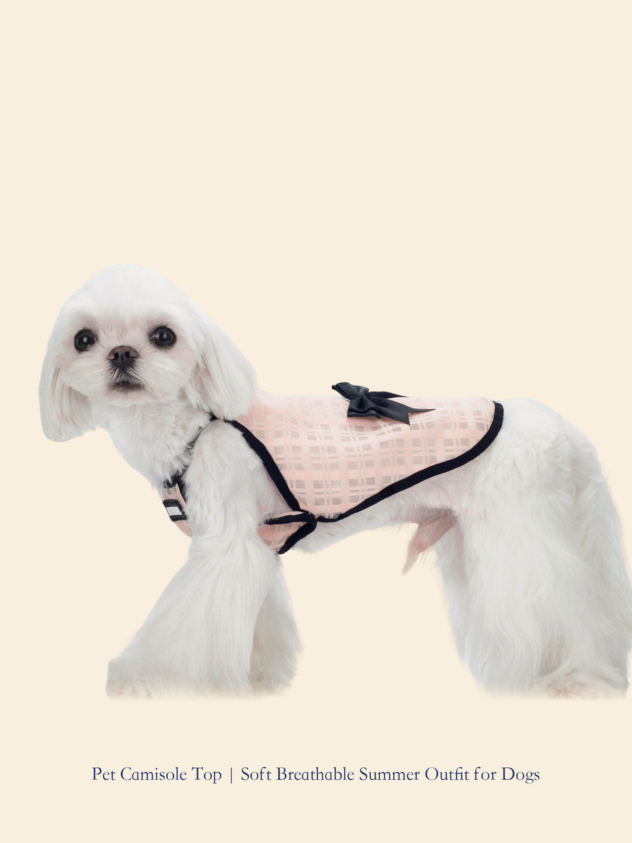 Summer Cooling Pet Camisole