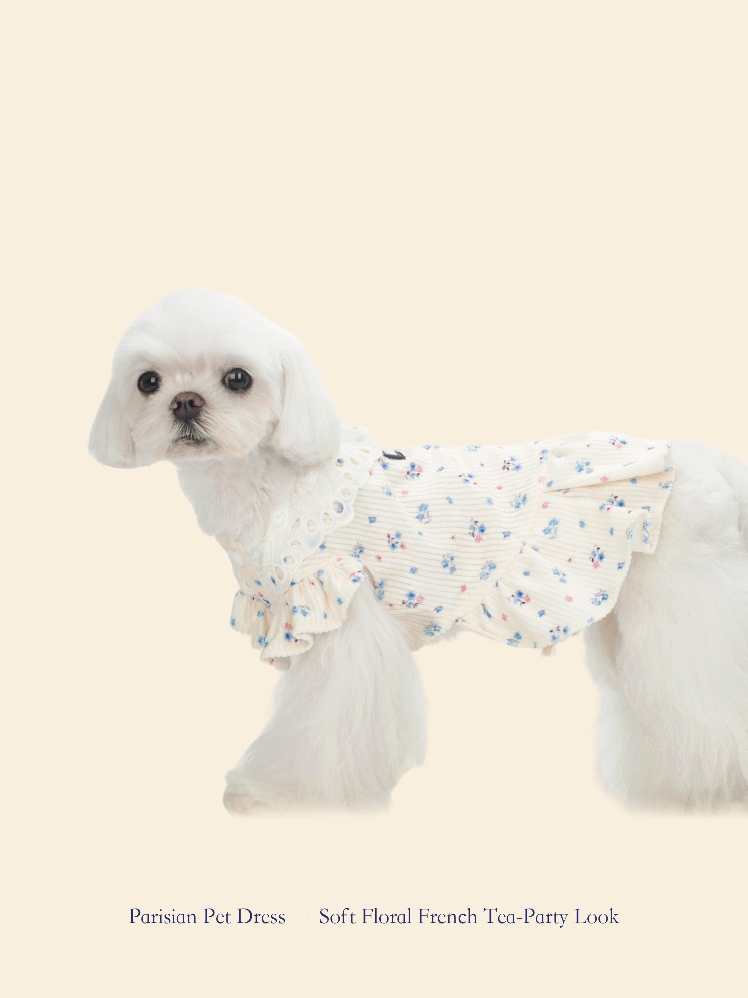French-Style Romantic Pet Tea Dress