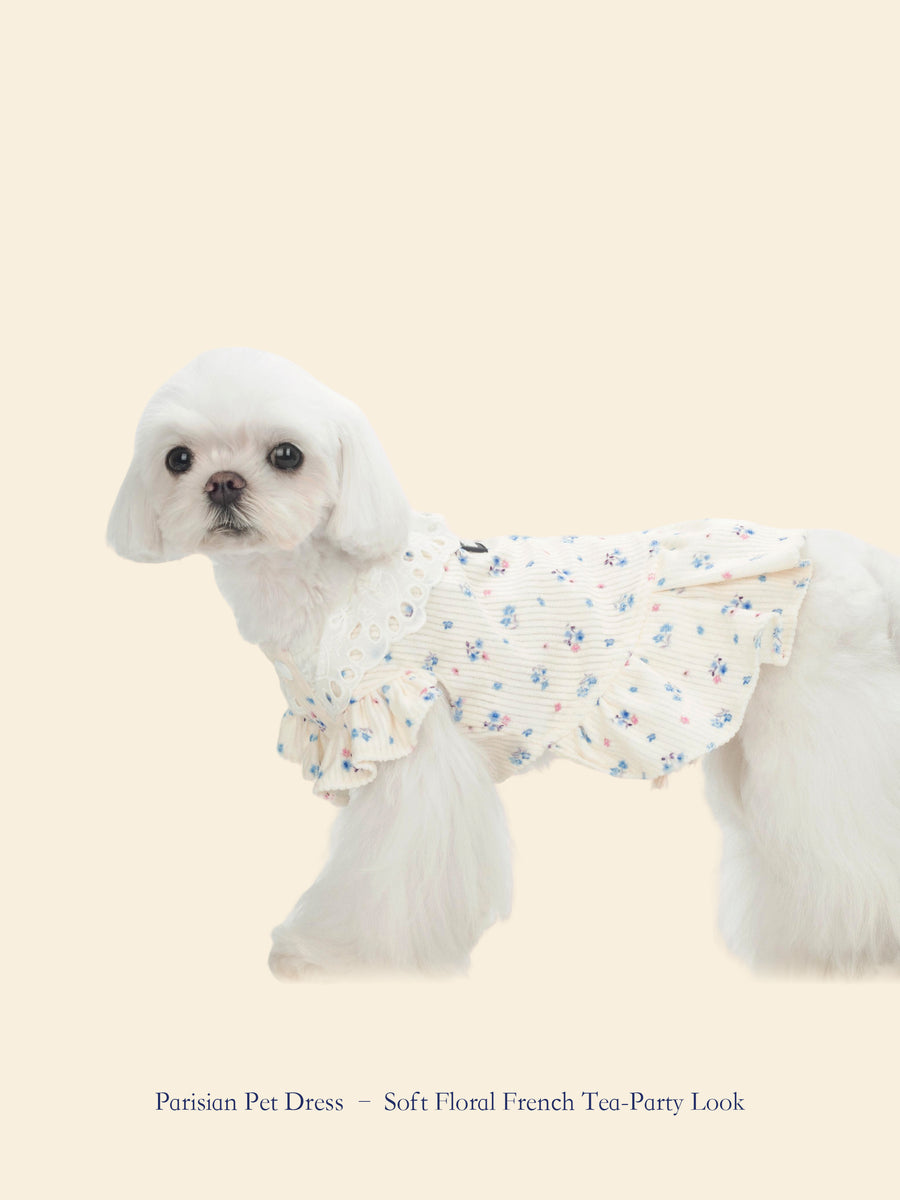 French-Style Romantic Pet Tea Dress