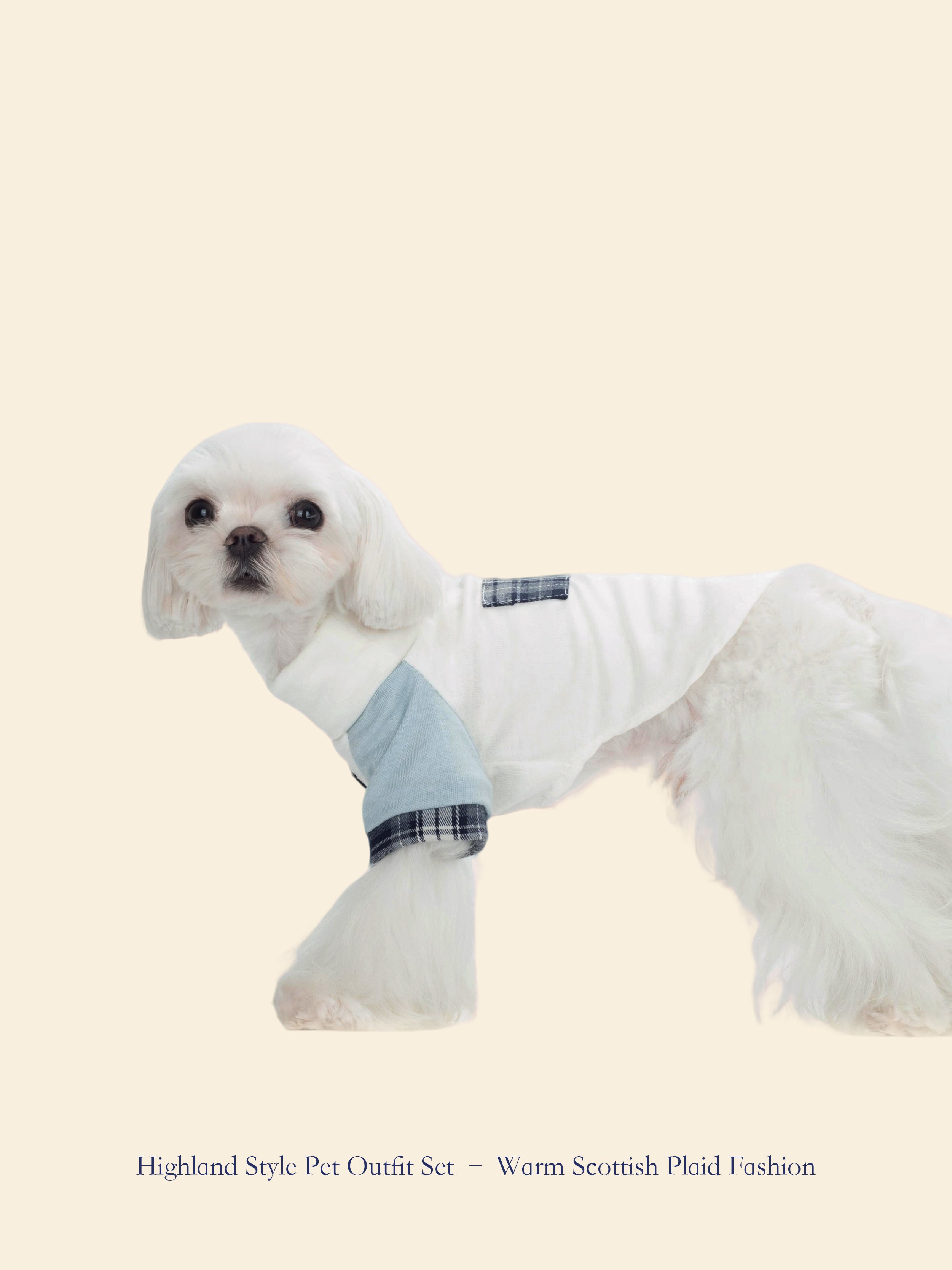 Scottish Stroll Pet Outfit Set