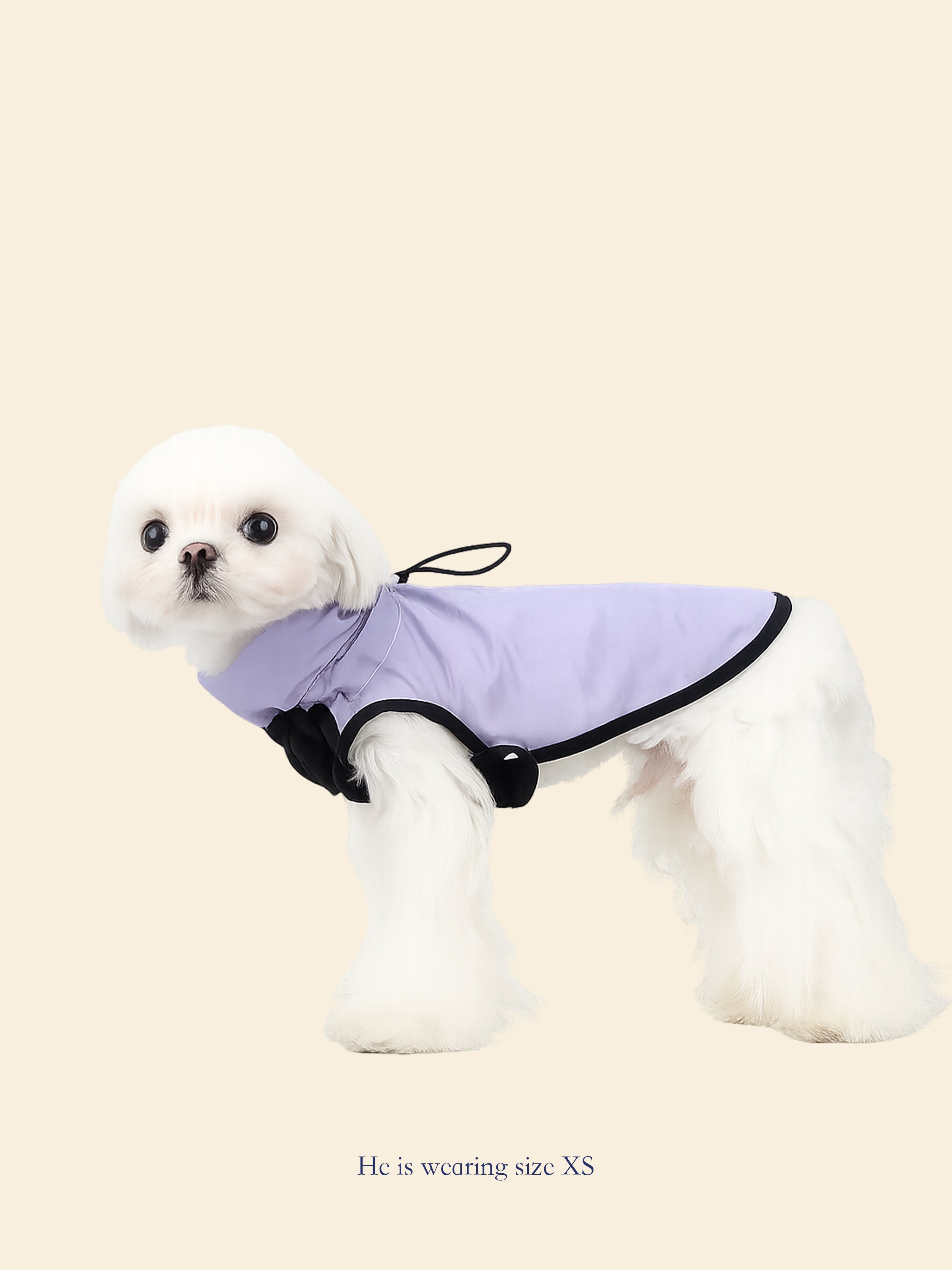 Outdoor Waterproof Softshell Dog Vest
