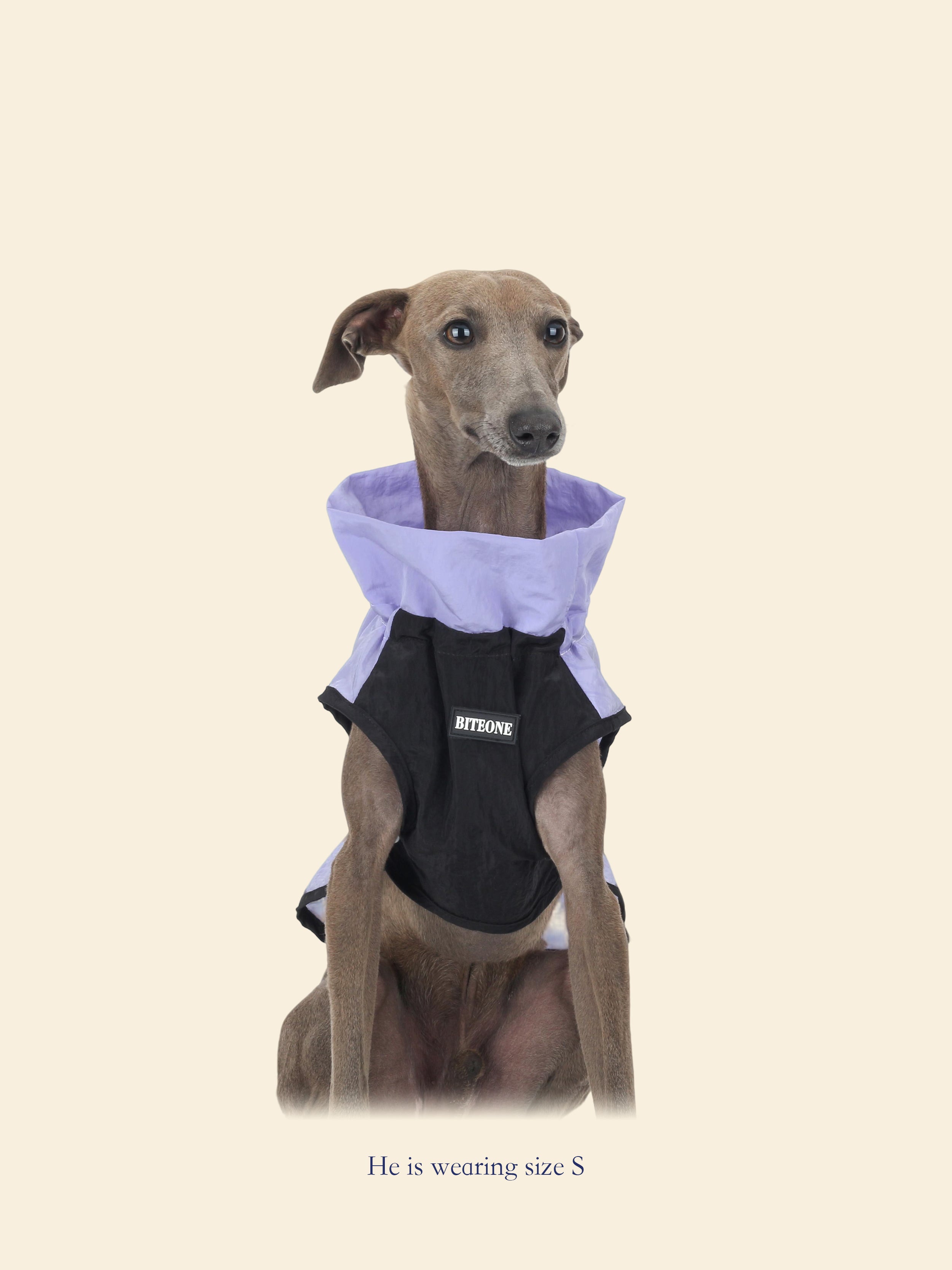 Outdoor Waterproof Softshell Dog Vest