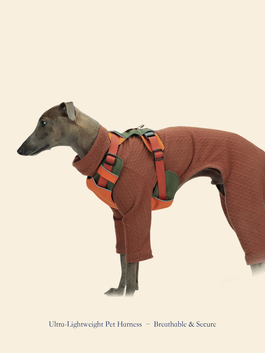 Ultra-Lightweight Outdoor Dog Harness