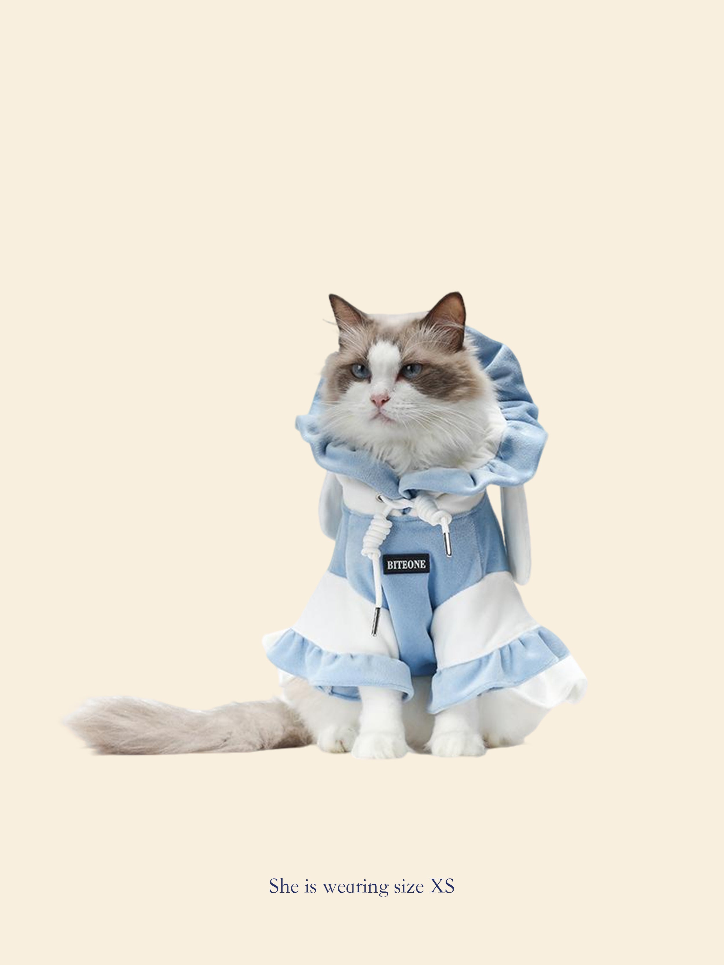 Blue & White Color-Block Pet Hooded Dress