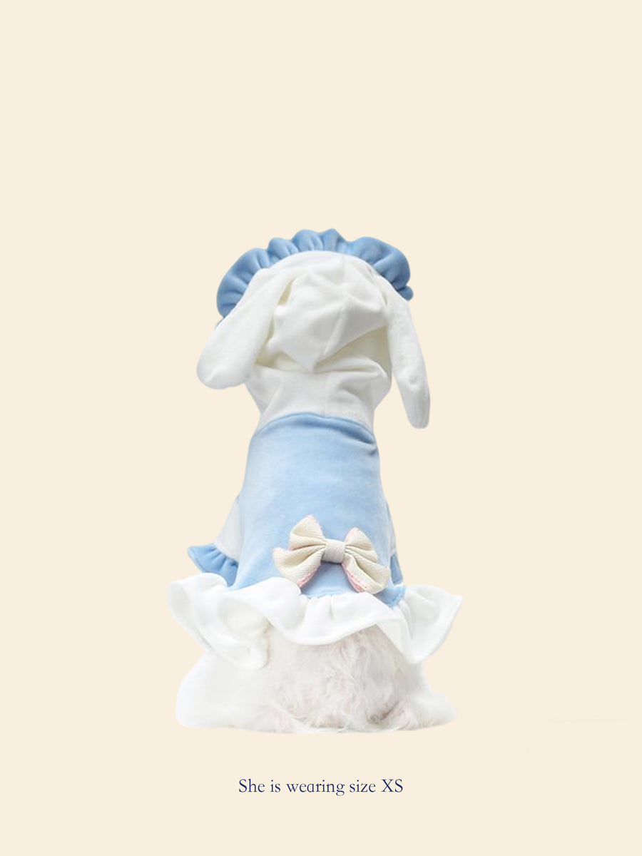 Blue & White Color-Block Pet Hooded Dress