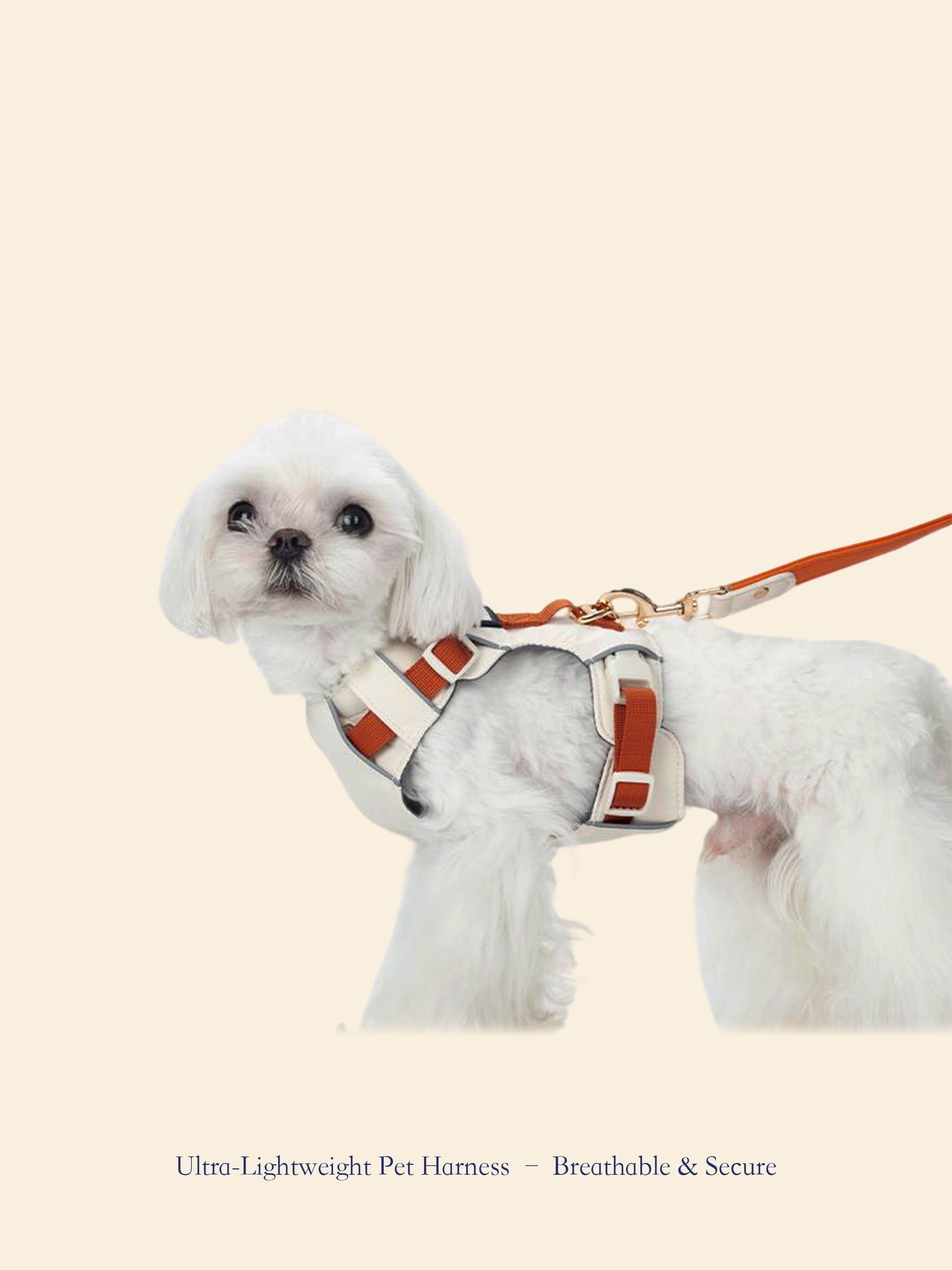 Ultra-Lightweight Outdoor Dog Harness