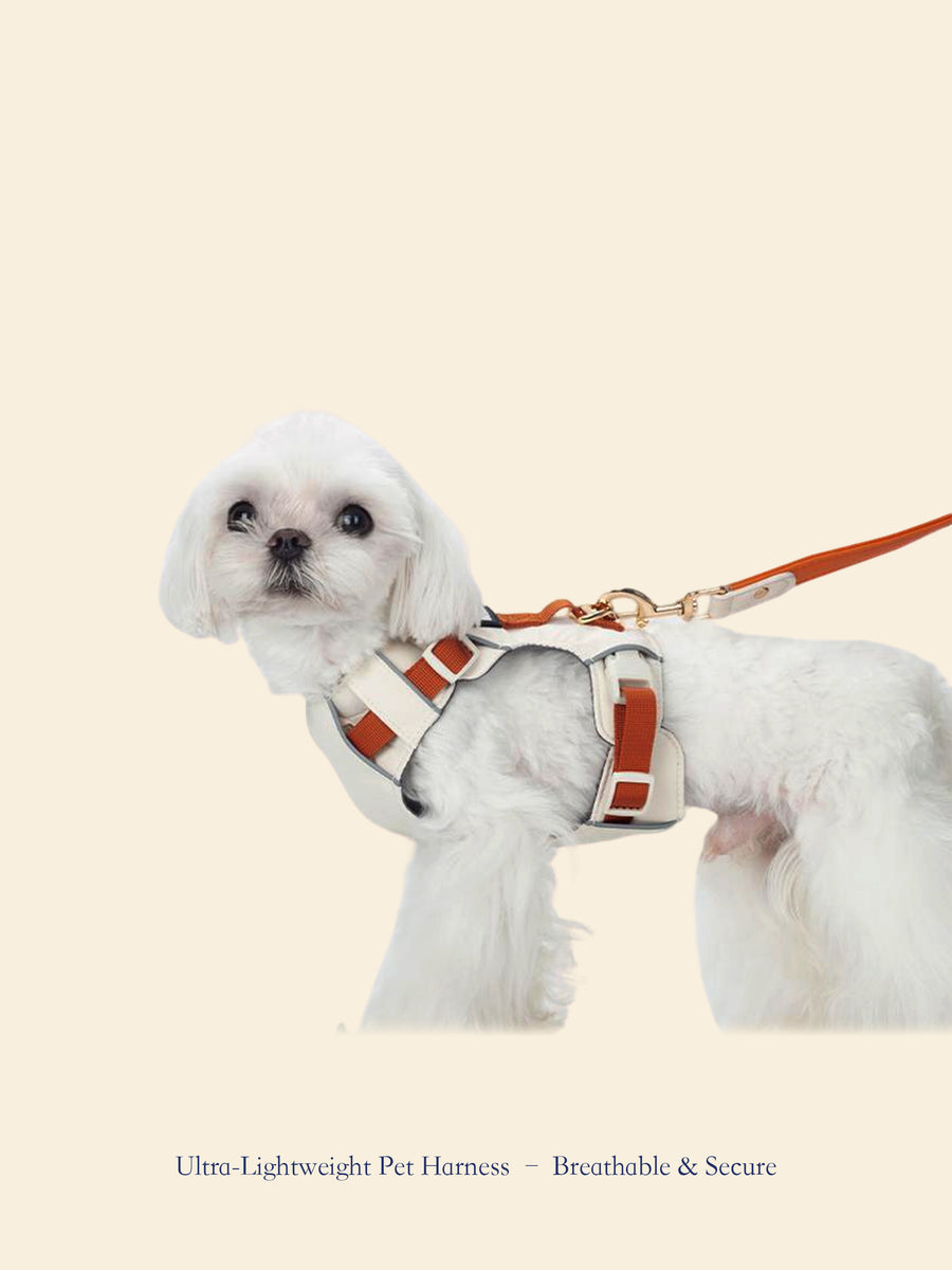 Ultra-Lightweight Outdoor Dog Harness