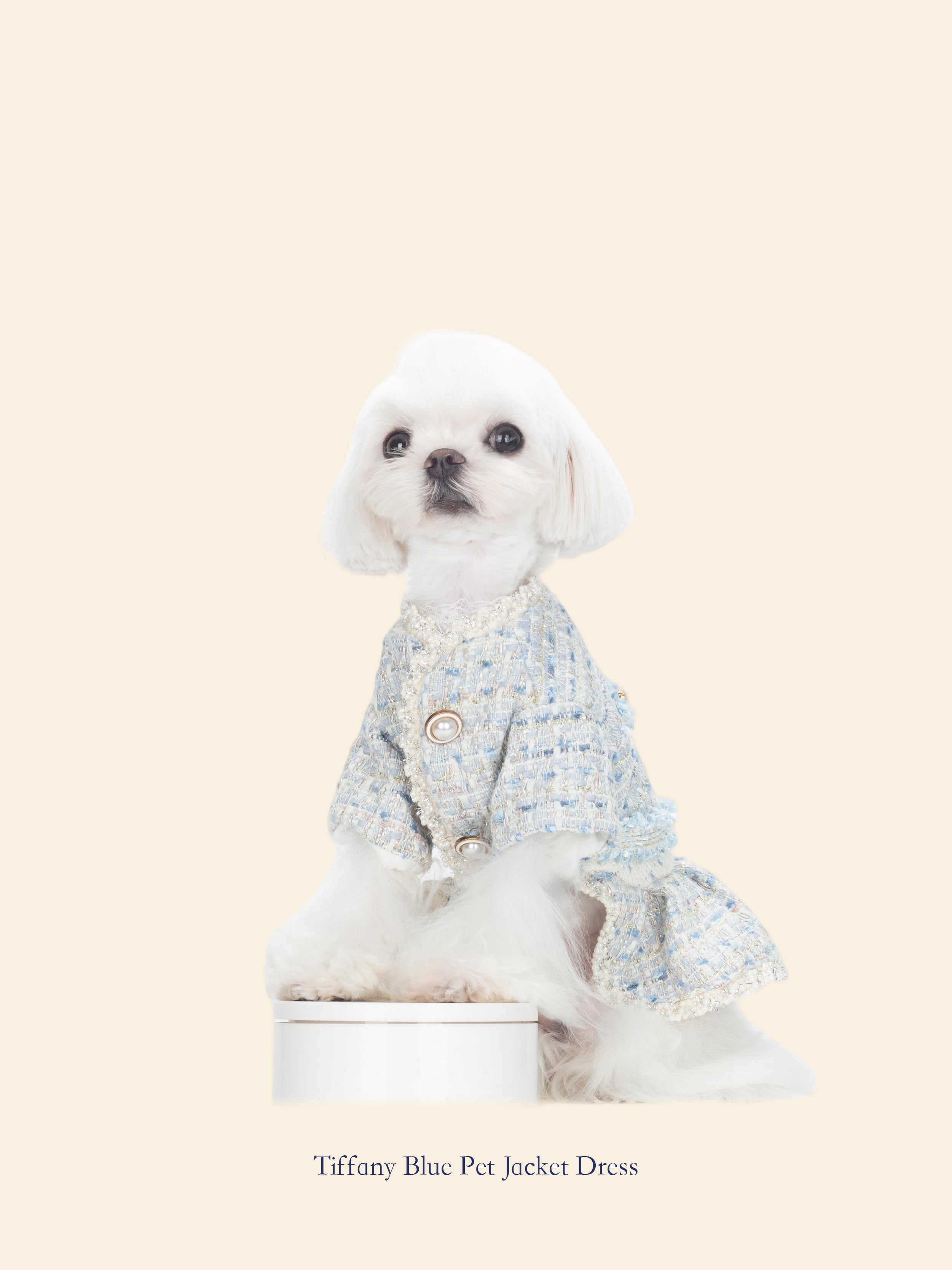 Tiffany Blue Chanel-Inspired Pet Outfit