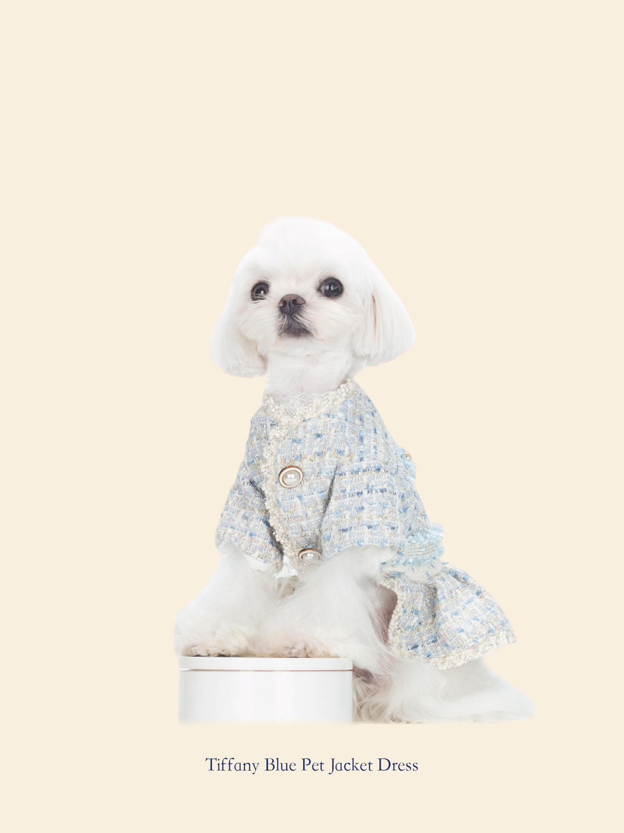 Tiffany Blue Chanel-Inspired Pet Outfit