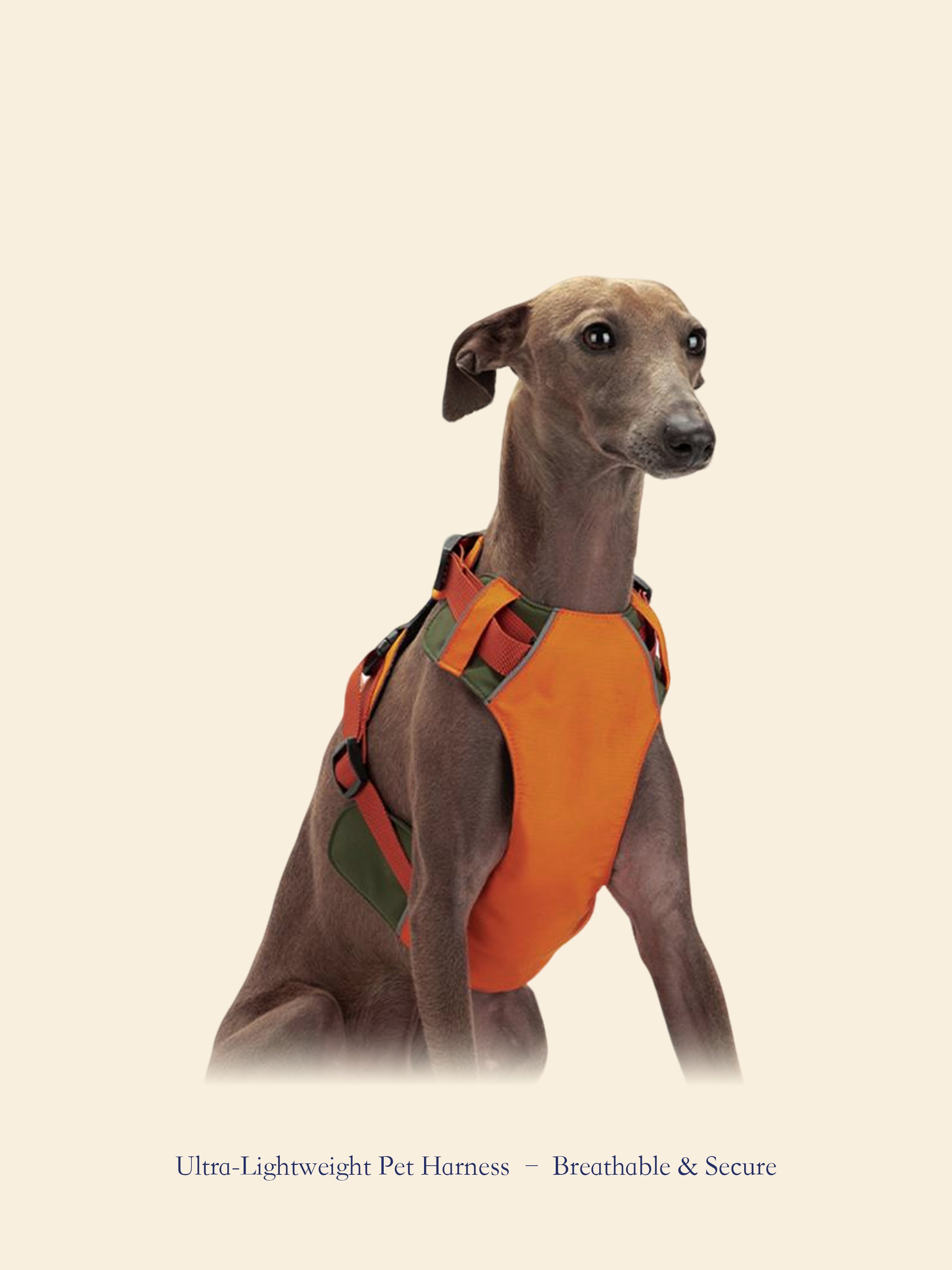 Ultra-Lightweight Outdoor Dog Harness