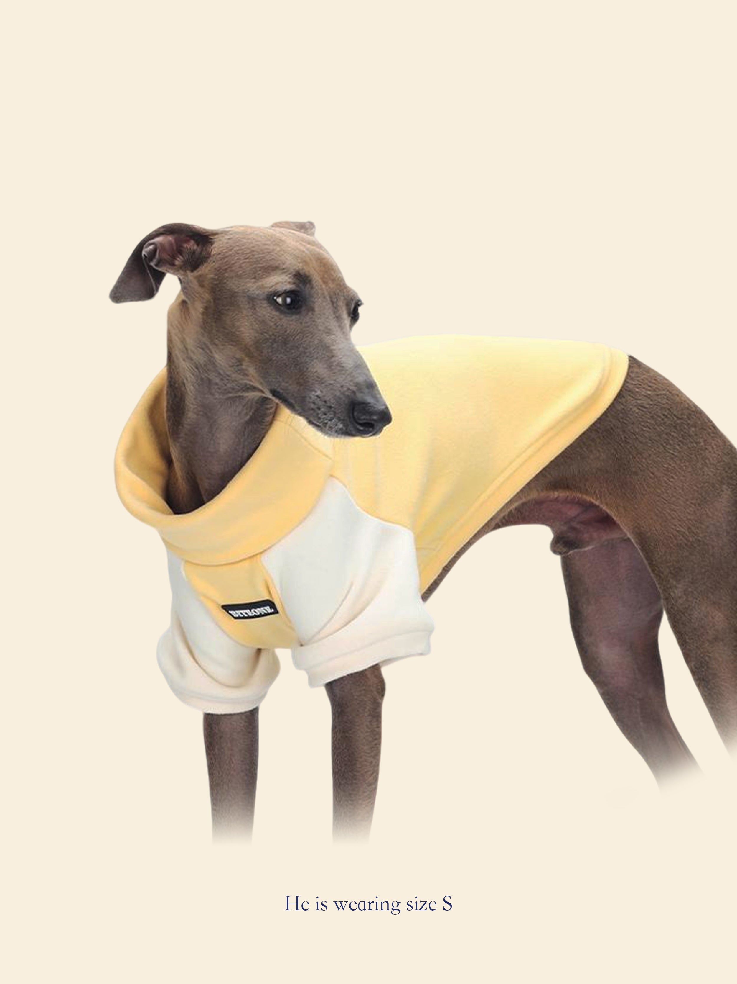 Self-Heating Thickened Dog Jacket