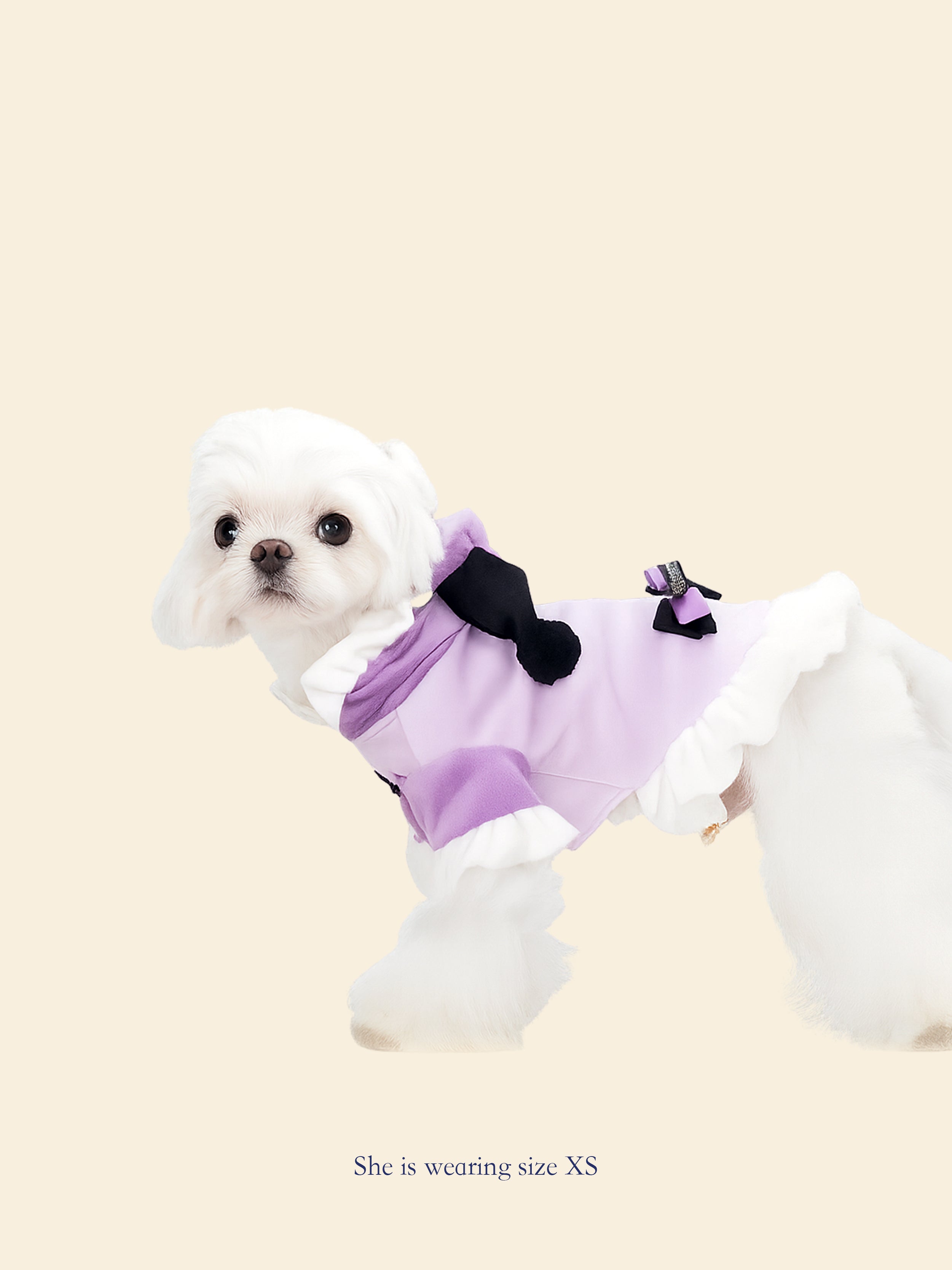 Purple & White Color-Block Pet Hooded Dress