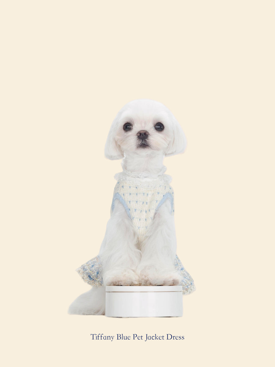 Tiffany Blue Chanel-Inspired Pet Outfit