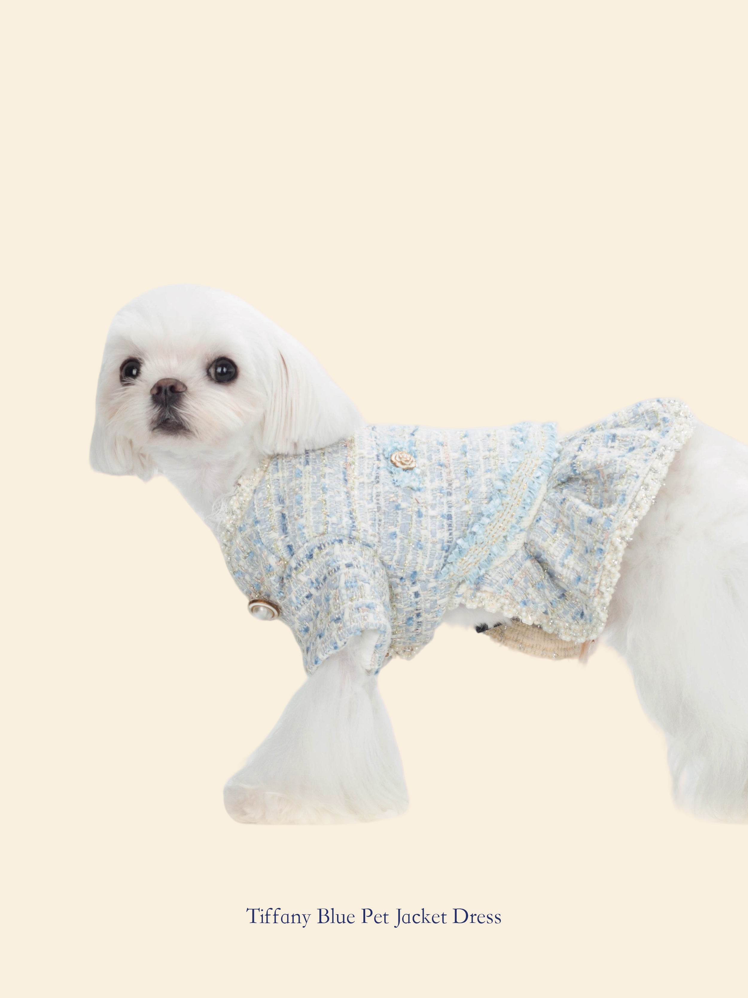 Tiffany Blue Chanel-Inspired Pet Outfit