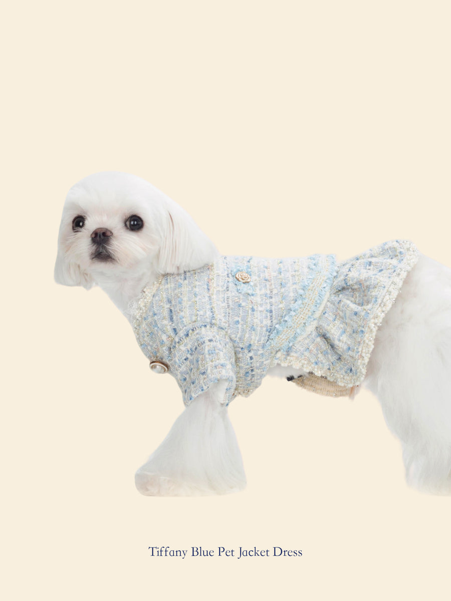 Tiffany Blue Chanel-Inspired Pet Outfit